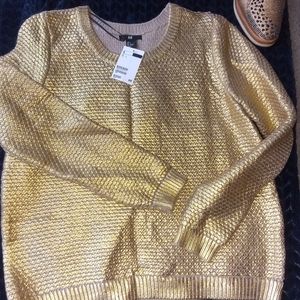 Metallic Sweater !!